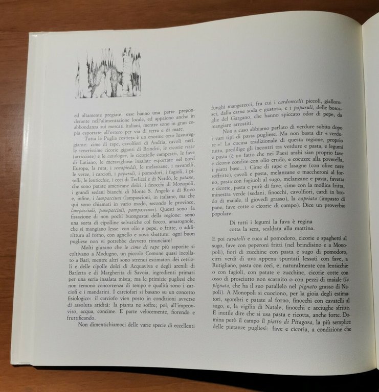 BEVETE PUGLIA un viaggio alla scoperta della civiltà del vino …
