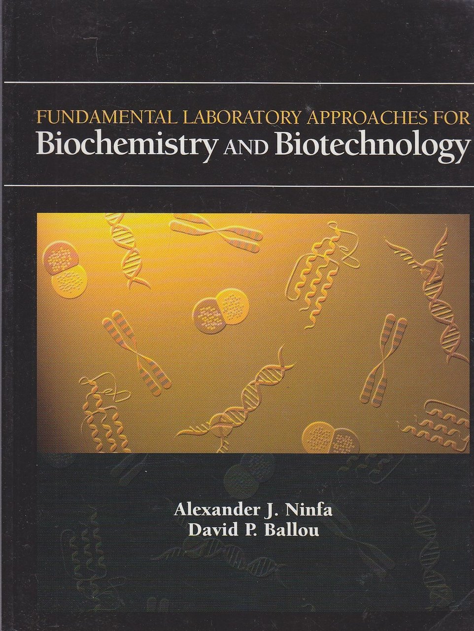 BIOCHEMISTRY AND BIOTECHNOLOGY FUNDAMENTAL LABORATORY APPROACHES di Ninfa Ballou