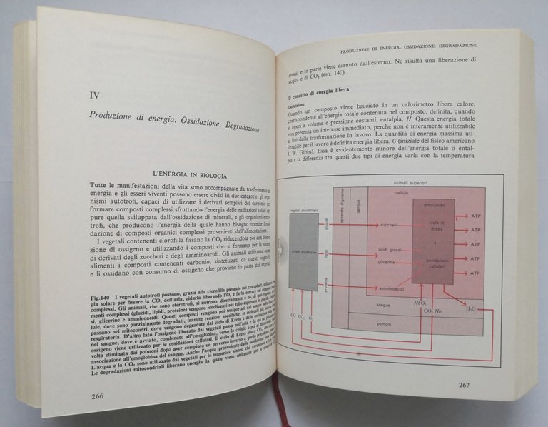 BIOCHIMICA aspetti medici e biologici di Jacques Kruh 1976 Mondadori …