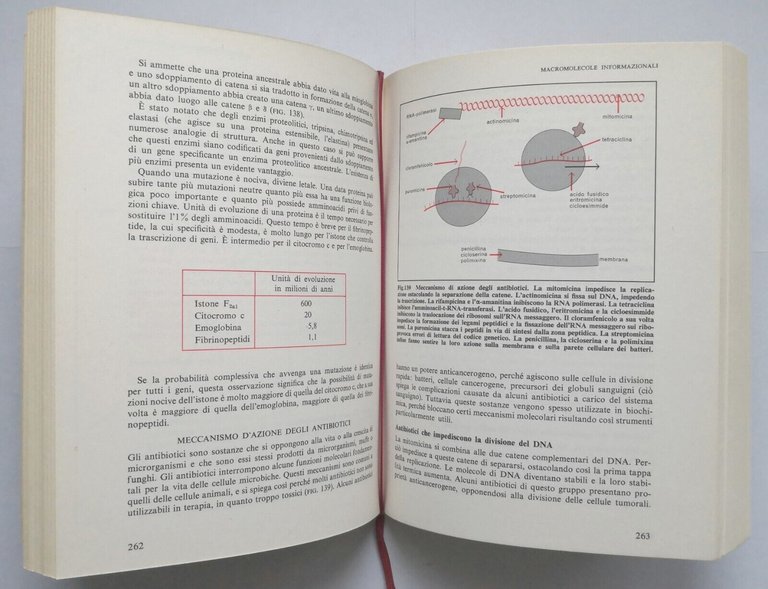BIOCHIMICA aspetti medici e biologici di Jacques Kruh 1976 Mondadori …