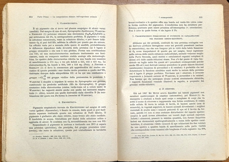 BIOCHIMICA chimica fisiologica e patologica di Pietro Rondoni 1945 UTET … | Immagine Gallery 3