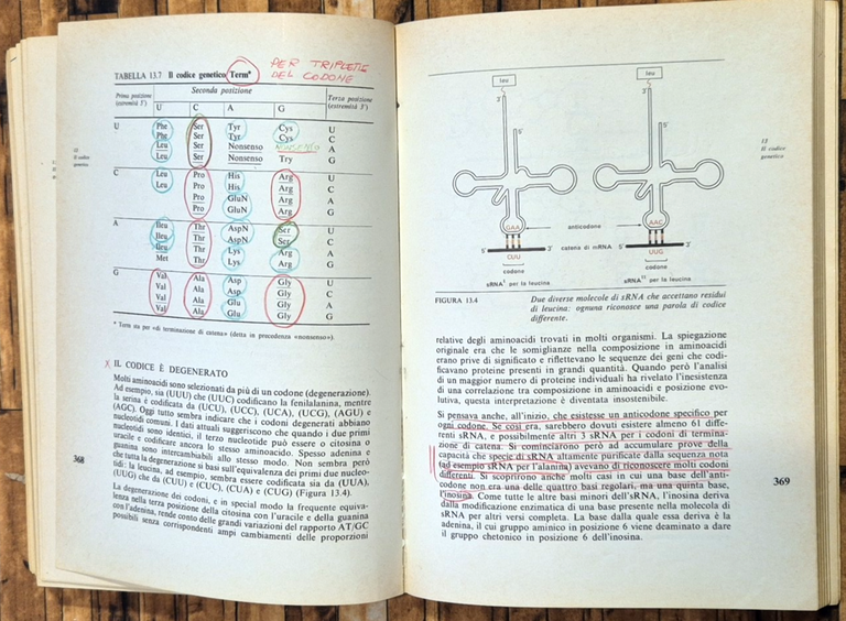BIOLOGIA MOLECOLARE DEL GENE di James D Watson 1973 Zanichelli …