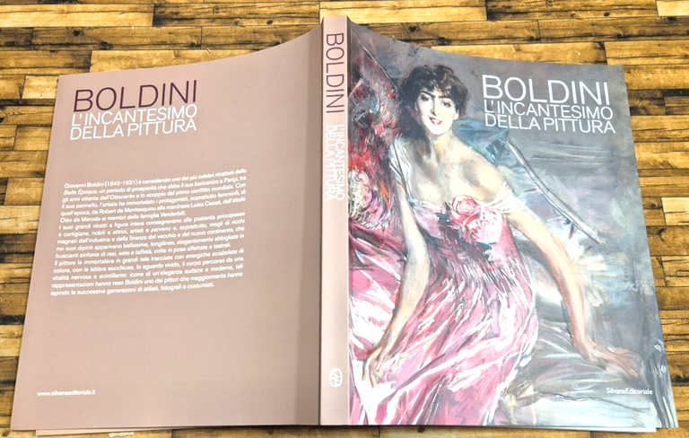 BOLDINI L'INCANTESIMO DELLA PITTURA 2008 Silvana Editoriale Libro Quadri | Immagine Gallery 2