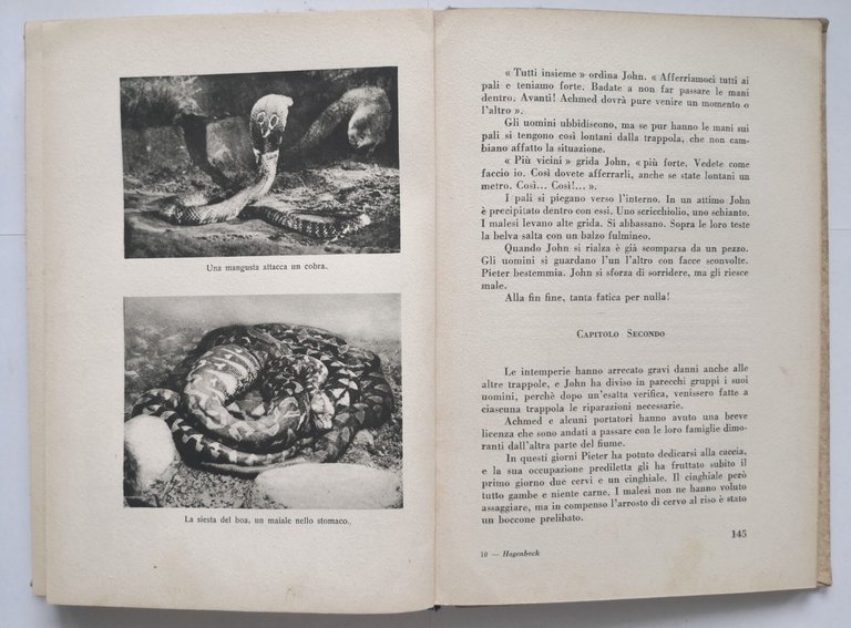 CACCIA GROSSA CON HAGENBECK di Wilhelm Munnecke 1936 Editrice Genio …