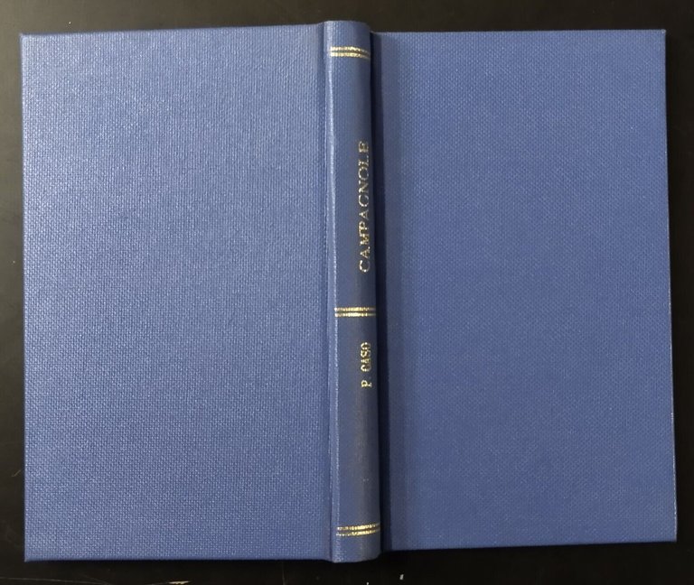 CAMPAGNOLE di Pasquale Caso 1892 Chiurazzi Libro antico Altamura Novelle