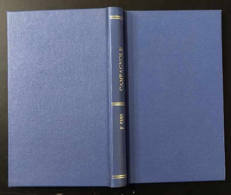 CAMPAGNOLE di Pasquale Caso 1892 Chiurazzi Libro antico Altamura Novelle