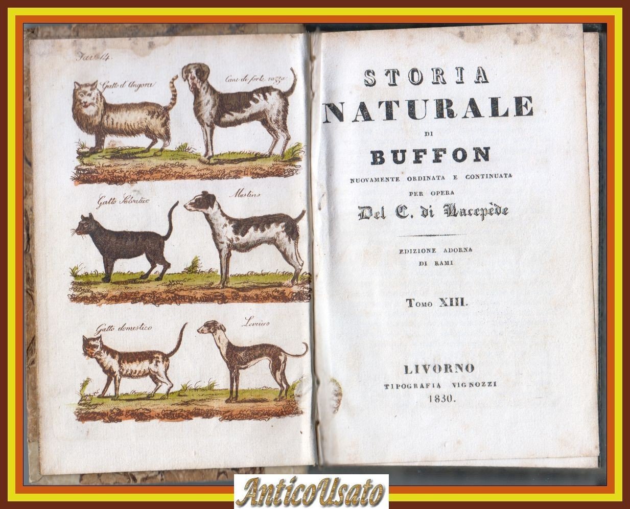 CANE GATTO QUADRUPEDI Storia Naturale di Buffon volume 13 14 …