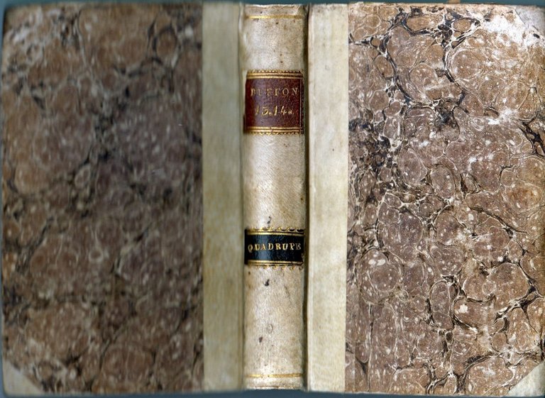 CANE GATTO QUADRUPEDI Storia Naturale di Buffon volume 13 14 …