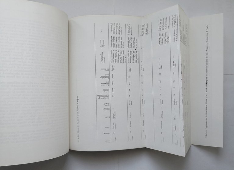 CARTA DELLA MONTAGNA volume II Puglia di Giuseppe De Meo …