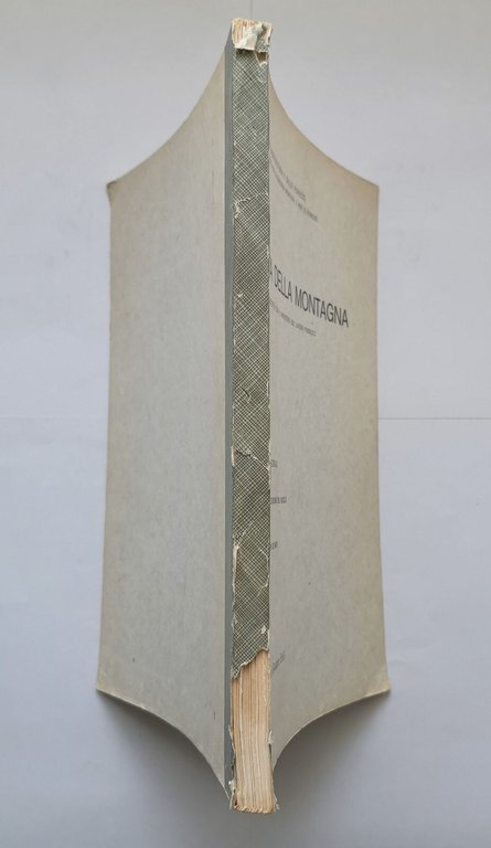 CARTA DELLA MONTAGNA volume II Puglia di Giuseppe De Meo …