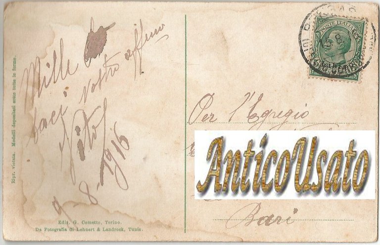 Cartolina Cammelli all'abbeveratoio '1916 Nella Libia Italiana Vintage postcard