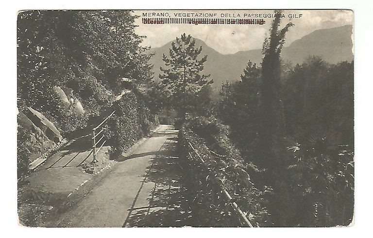 CARTOLINA Merano vegetazione della passeggiata gilf 1925 Vintage Postcard Carte | Immagine Gallery 1
