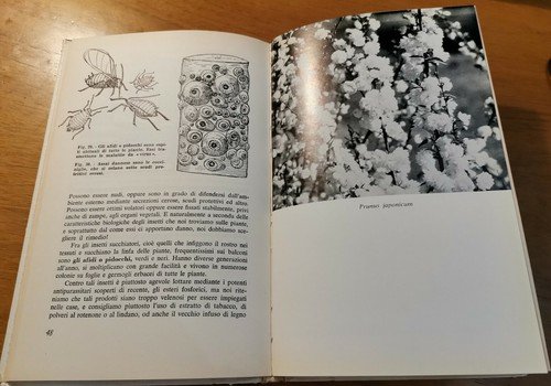 CASE E BALCONI FIORITI di Giorgio Oelker. edizioni agricole 1964 …