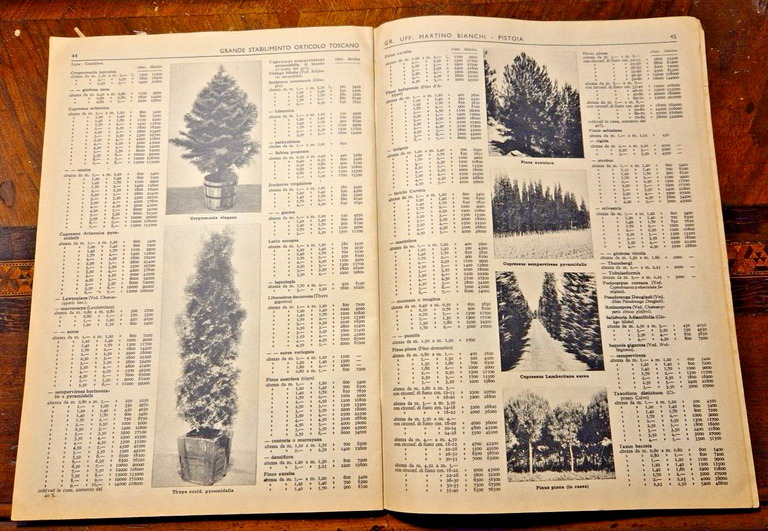 CATALOGO DITTA MARTINO BIANCHI Numero 97 Ottobre 1950 Pistoia orticolo …