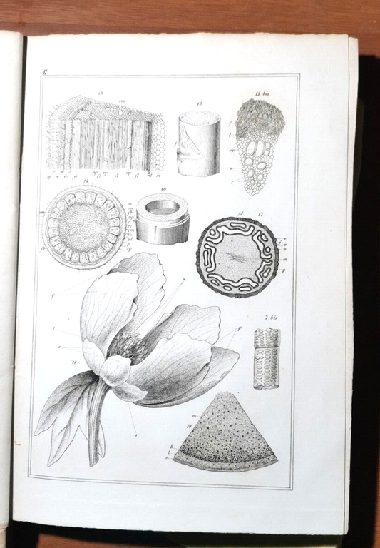 CATECHISMO AGROLOGICO PRINCIPI SCIENZA APPLICATA AGRICOLTURA 1846 libro antico