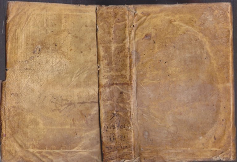 CATULLI TIBULLI PROPERTI nova editio Iosephus Scaligeri CASTIGATIONES 1577 Libro