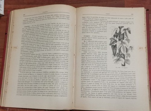 CHIMICA DELLA VITA QUOTIDIANA volume I 1889 di Francesco Reuleaux …