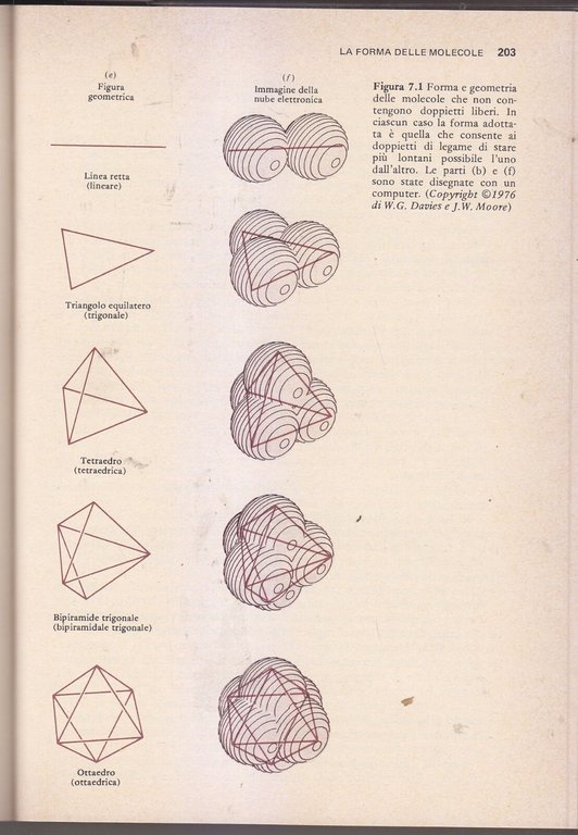 CHIMICA di Moore Davies Collins 1983 Piccin Libro Manuale