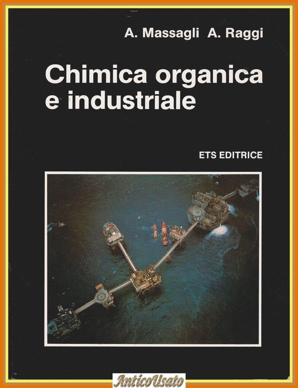 CHIMICA ORGANICA E INDUSTRIALE di Massagli Raggi ETS Editrice testo … | Immagine principale