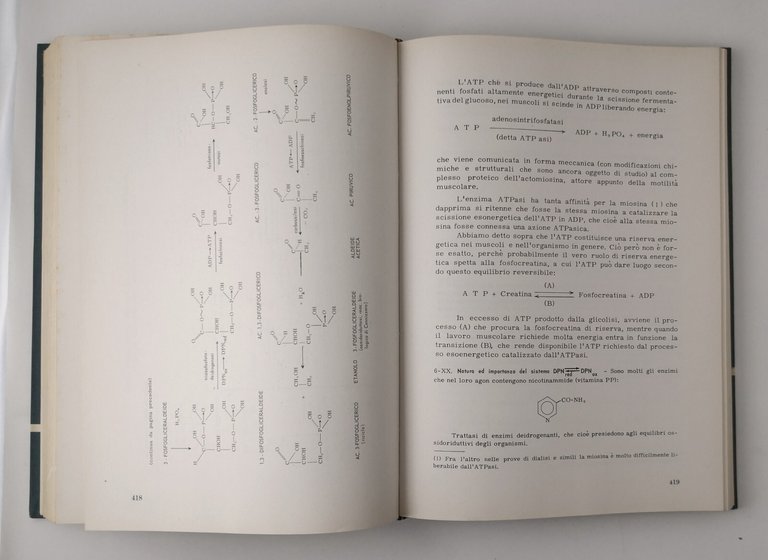 CHIMICA ORGANICA RAZIONALE di Stocchi 1964 La Prora Libro