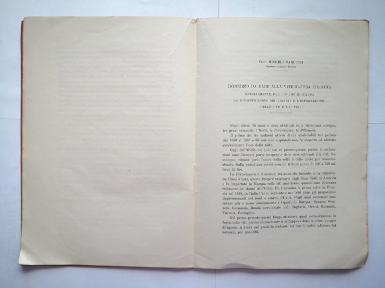 CINQUE RELAZIONI PRESENTATE ALLA COMMISSIONE PER L'INDUSTRIA VINICOLA 1922 Libro