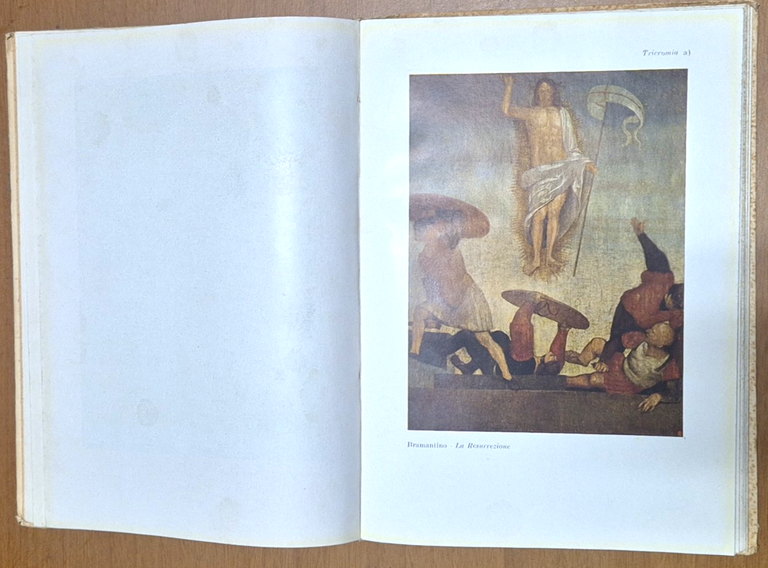 COLLEZIONE OTTAVIANO VENIER di Coletti e Spini 1954 Libro edizione …