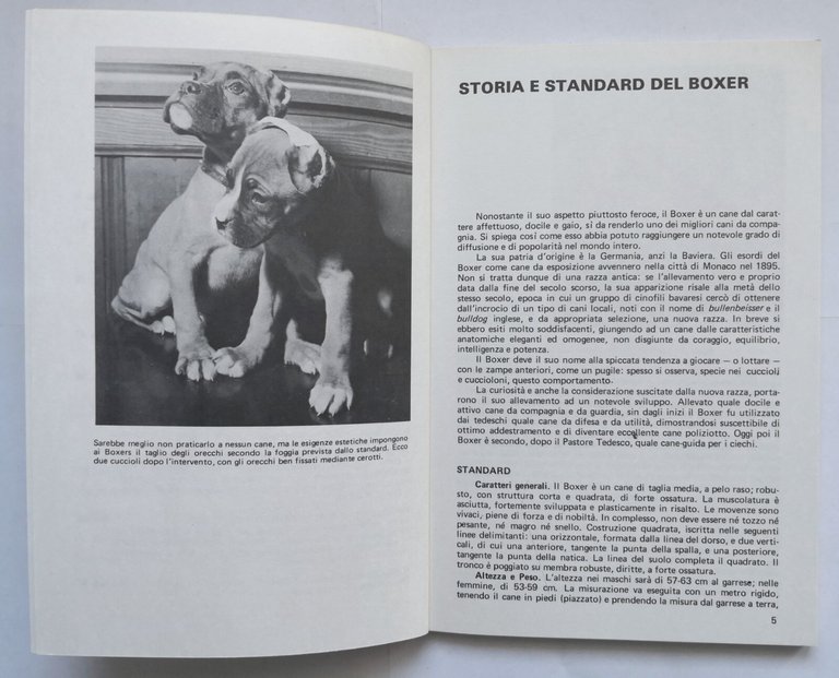 COME ALLEVARE E ADDESTRARE IL BOXER di Sara Barbaresi 1973 …