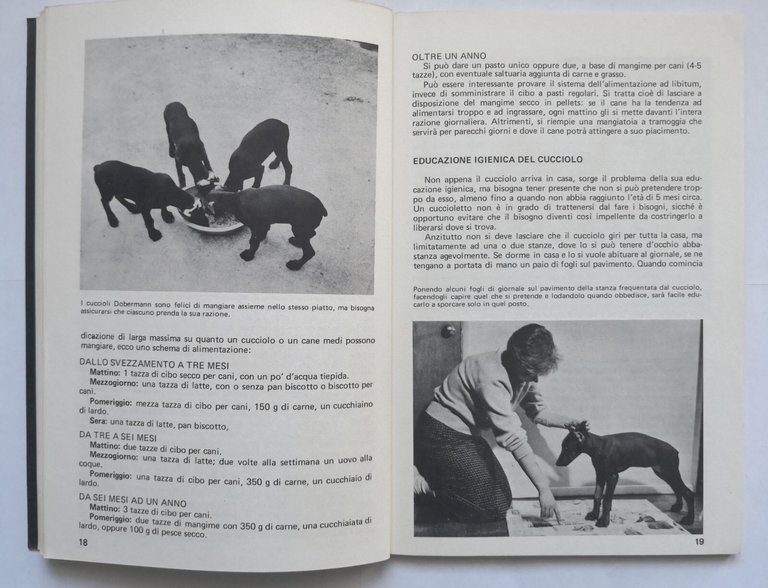 COME ALLEVARE E ADDESTRARE IL DOBERMANN di Stebbins e Barbaresi …