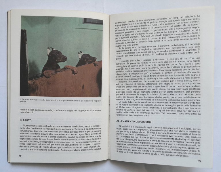 COME ALLEVARE E ADDESTRARE IL DOBERMANN di Stebbins e Barbaresi …