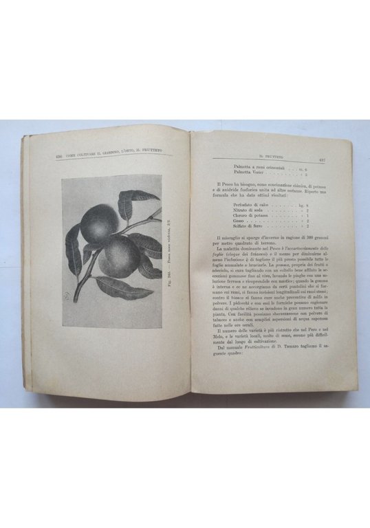 COME COLTIVARE GIARDINO ORTO FRUTTETO E CONSERVARNE PRODOTTI Pucci Hoepli … | Immagine Gallery 3