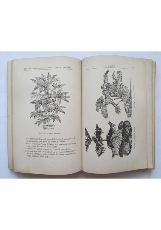 COME COLTIVARE GIARDINO ORTO FRUTTETO E CONSERVARNE PRODOTTI Pucci Hoepli … | Immagine Gallery 4