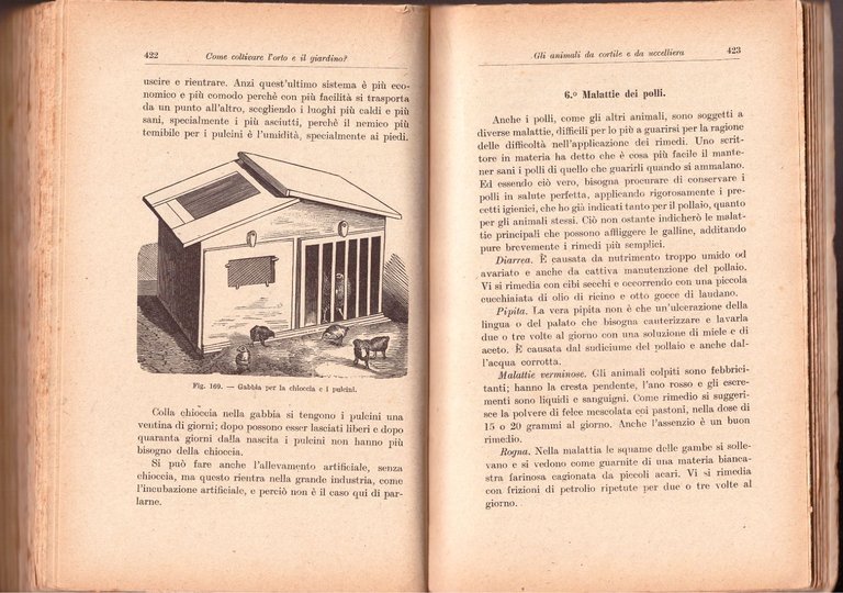 COME COLTIVARE L'ORTO E IL GIARDINO di Angiolo Pucci 1924 …