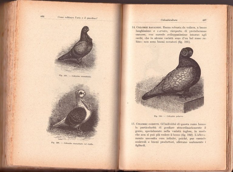COME COLTIVARE L'ORTO E IL GIARDINO di Angiolo Pucci 1924 …