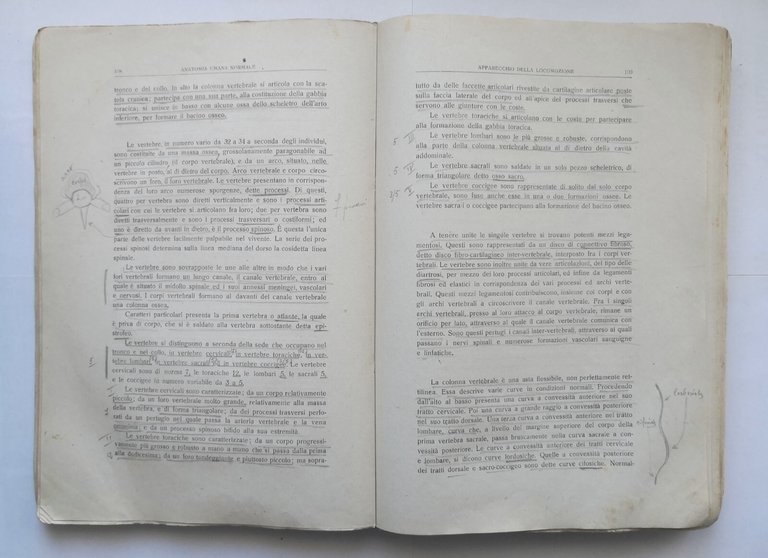 COMPENDIO DI ANATOMIA UMANA NORMALE di Callisto Ghigi 1947 LUCE