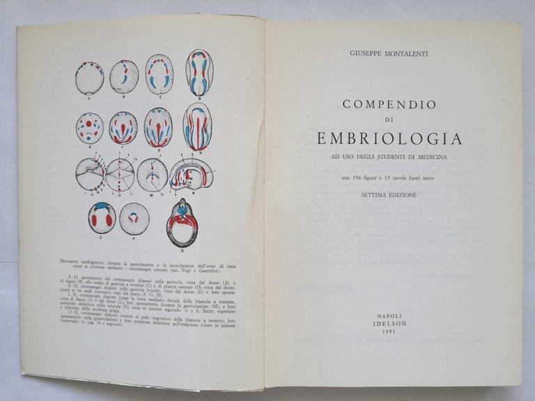 COMPENDIO DI EMBRIOLOGIA di Giuseppe Montalenti 1981 Idelson libro
