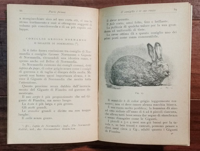 CONIGLICOLTURA PRATICA di Giuseppe Licciardelli 1911 Manuali Hoepli libro antico