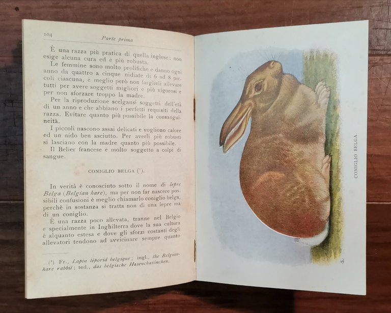 CONIGLICOLTURA PRATICA di Giuseppe Licciardelli 1911 Manuali Hoepli libro antico