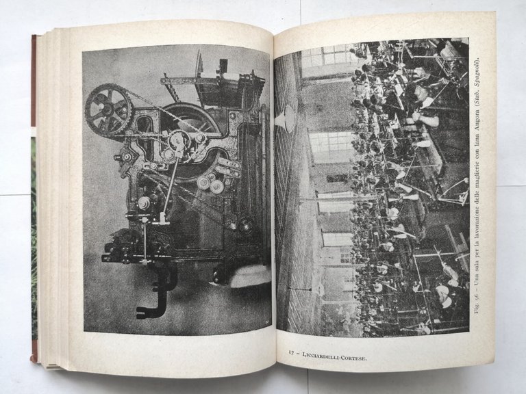 CONIGLICOLTURA PRATICA di Licciardelli e Cortese 1962 Hoepli libro illustrato