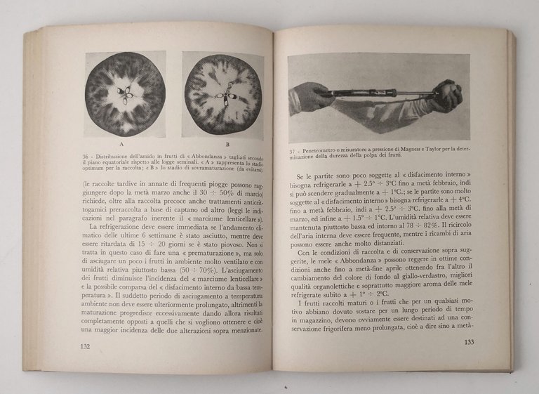 CONSERVAZIONE DELLA FRUTTA IN REGIME DI FREDDO Poma Treccani 1965 …