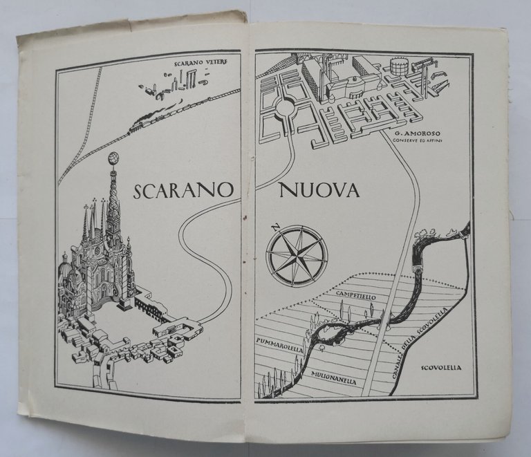 CONSERVE E AFFINI di Edwin Cerio 1934 Editore Casella Romanzo …