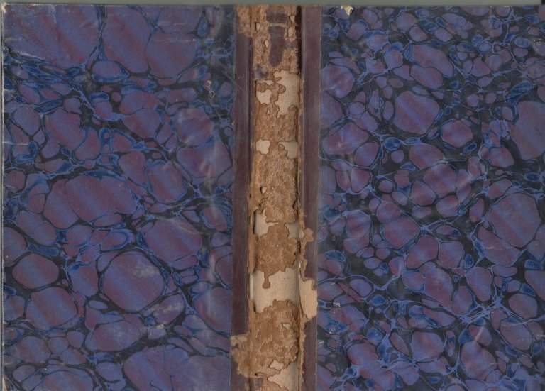 CONSIDERAZIONI SU LA NATURA DELL'UOMO di Francesco Magliano 1824 libro …