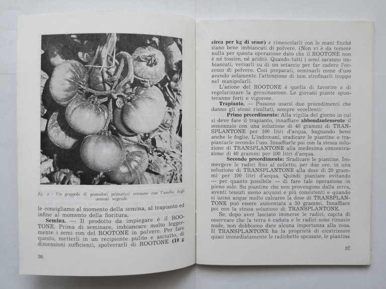 CONSIGLI PRATICI PER L'IMPIEGO DEGLI ORMONI VEGETALI NELLE COLTURE Erns …