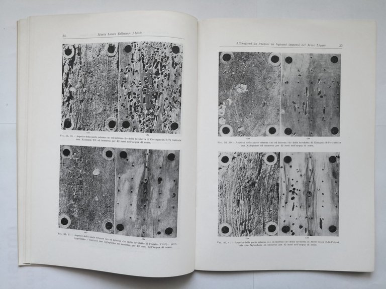 CONTRIBUTI SCIENTIFICO PRATICI PER UNA MIGLIORE CONOSCENZA DEL LEGNO 1967 …