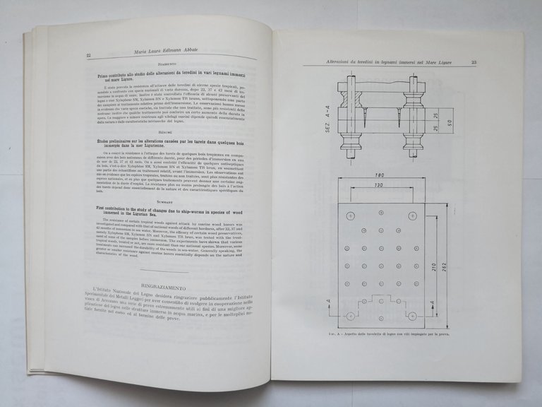 CONTRIBUTI SCIENTIFICO PRATICI PER UNA MIGLIORE CONOSCENZA DEL LEGNO 1967 …