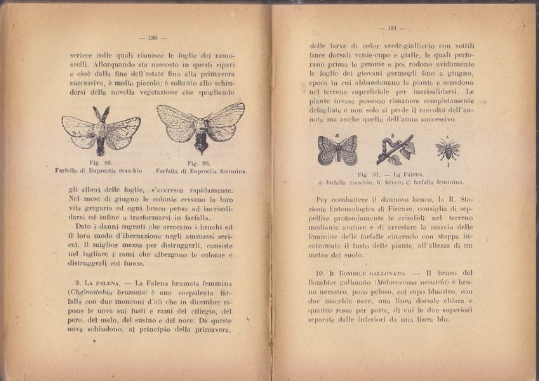 CONTRO LE MALATTIE DEGLI INSETTI E DELLE PIANTE AGRARIE di …