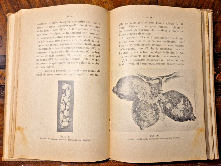 CONTRO LE MALATTIE DEGLI INSETTI E DELLE PIANTE AGRARIE di …