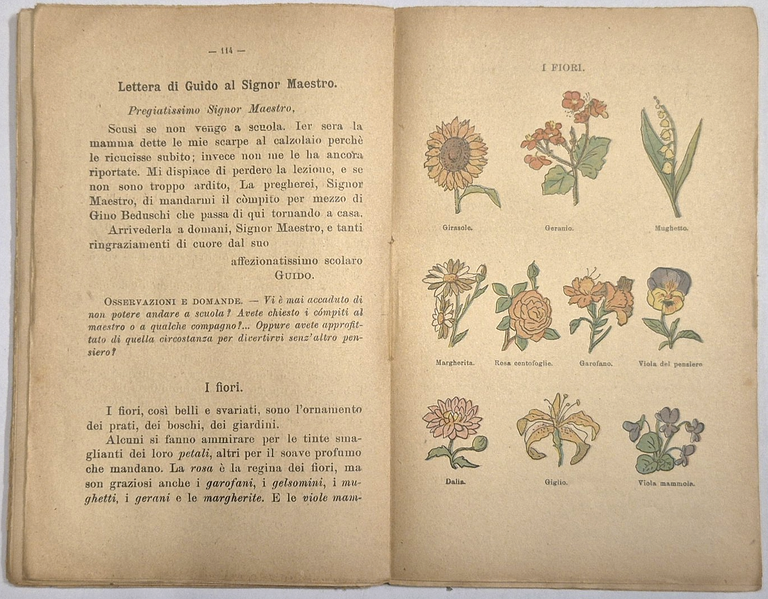 CORSO DI LETTURE Giacomo Veniali scuole elementari rurali 1917 Libro … | Immagine Gallery 4