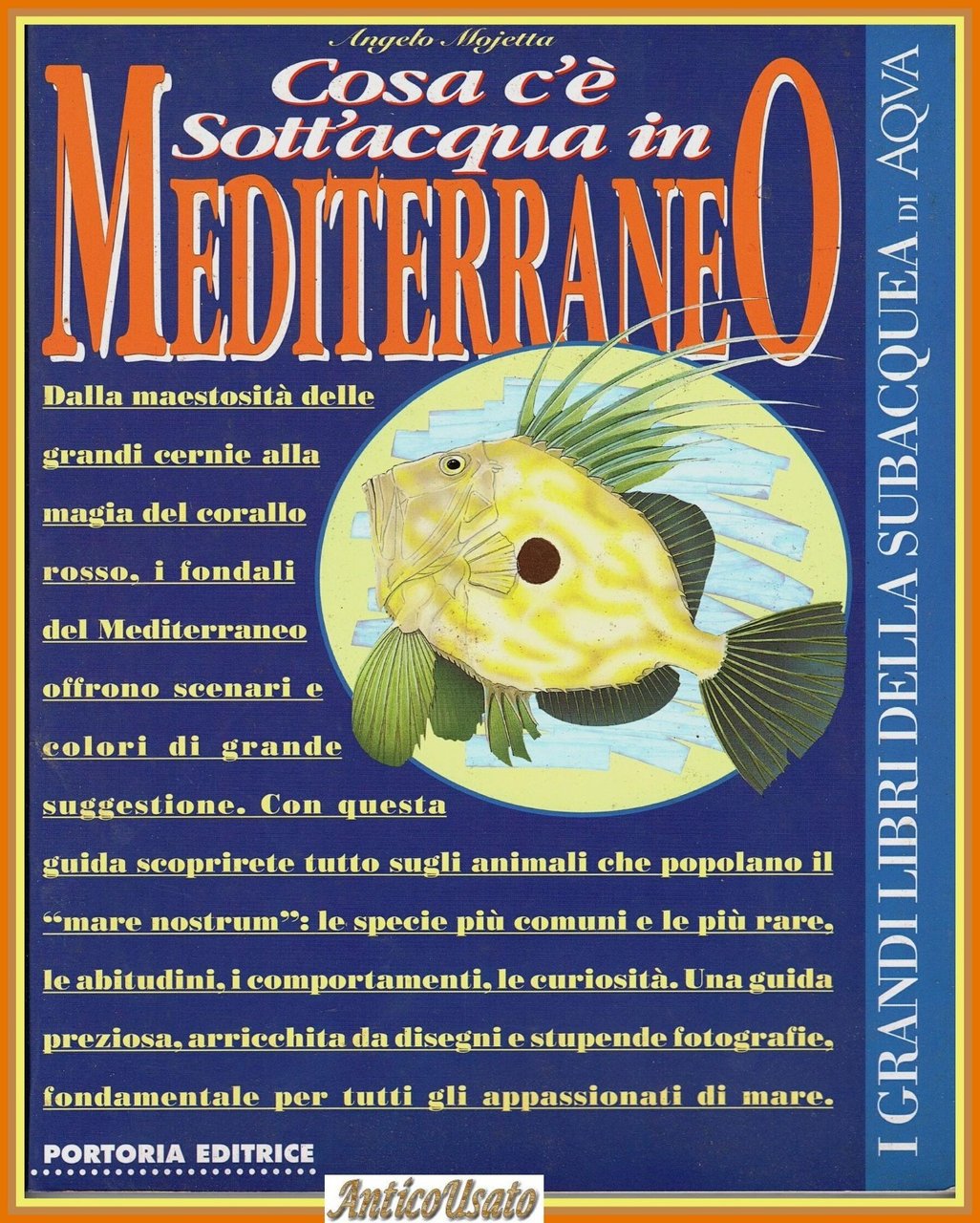 COSA C'È SOTT'ACQUA IN MEDITERRANEO di Angelo Mojetta 1997 Portoria … | Immagine principale