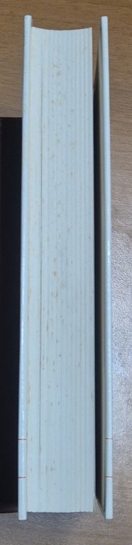 CRONACA DI NOVALESA a cura di Gian Carlo Alessio 1983 … | Immagine Gallery 8