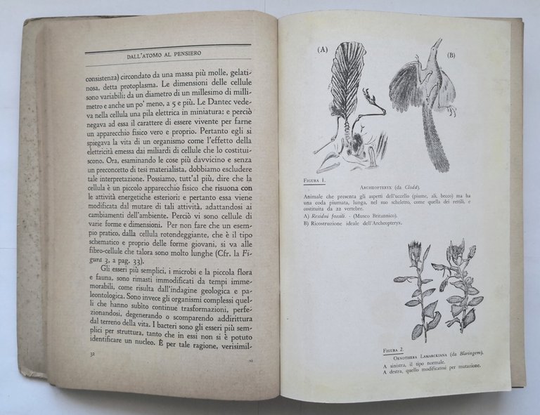 DALL'ATOMO AL PENSIERO di Guido Cremonese 1938 Edizioni Corbaccio Libro